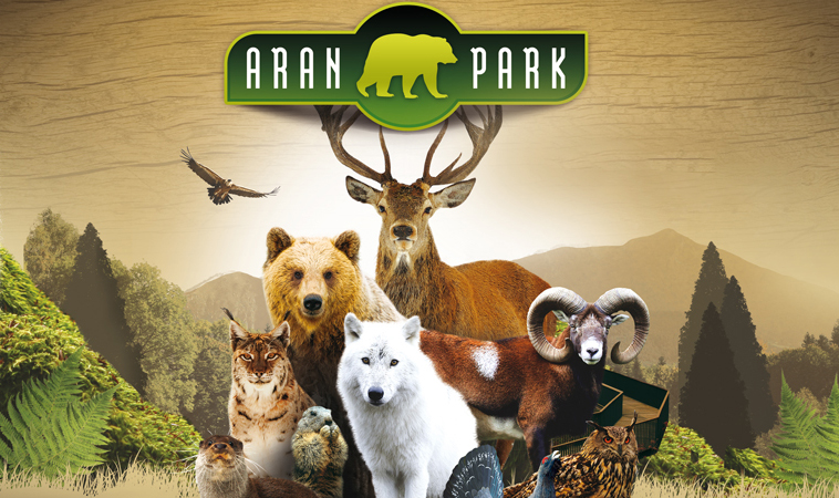 Actividades en Sort: 10 planes imprescindibles en el Pirineo Catalán