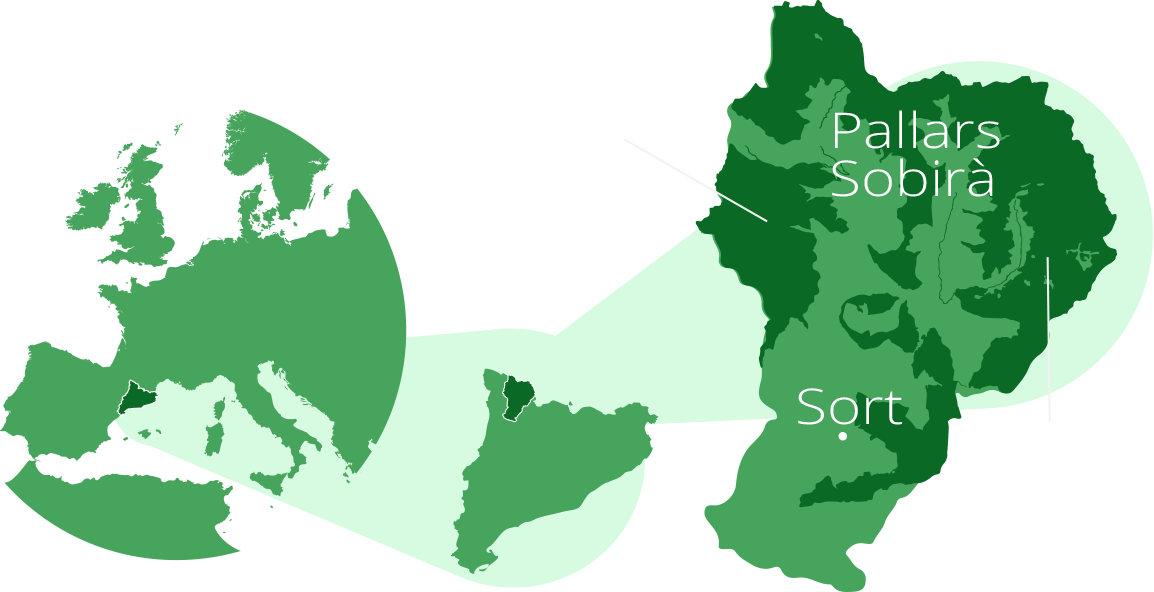 abrir en Google maps